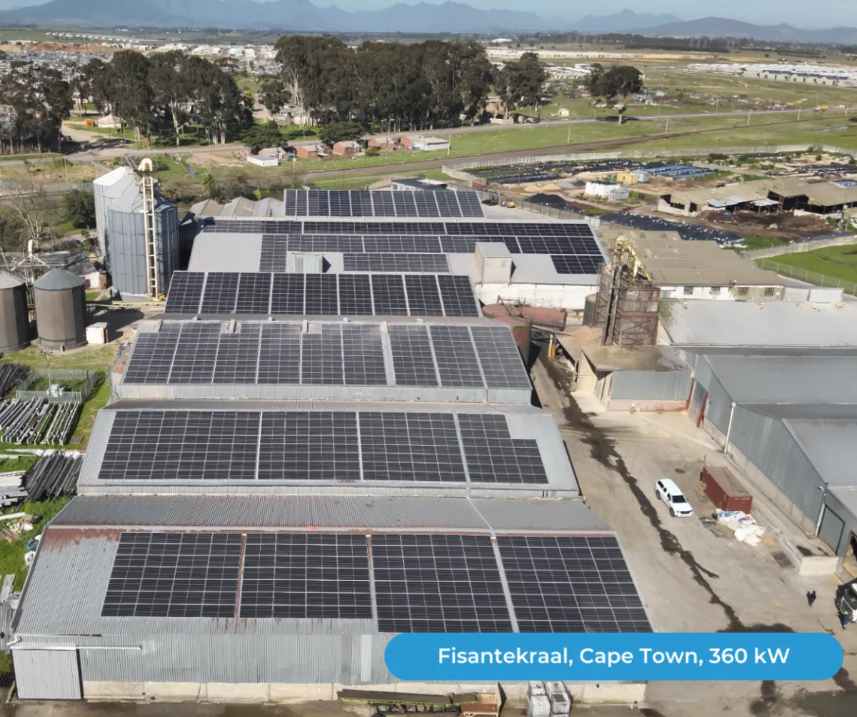 Fisantekraal, Cape Town — photo 1